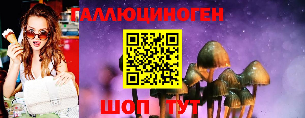 Галлюциногенные грибы прущие грибы Сердобск